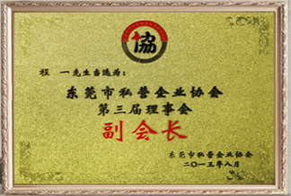 東莞市私營企業協會第三屆理事會副會長