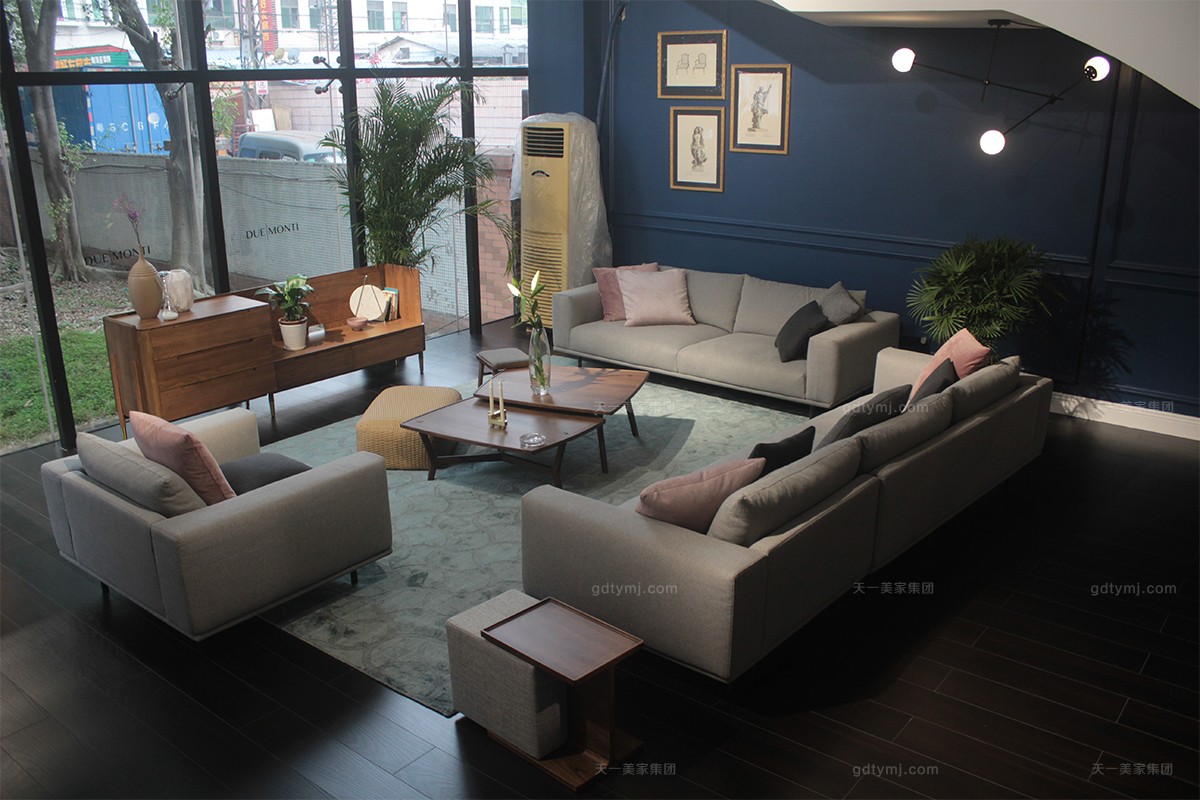 天一美家輕奢高檔客廳舒適沙發