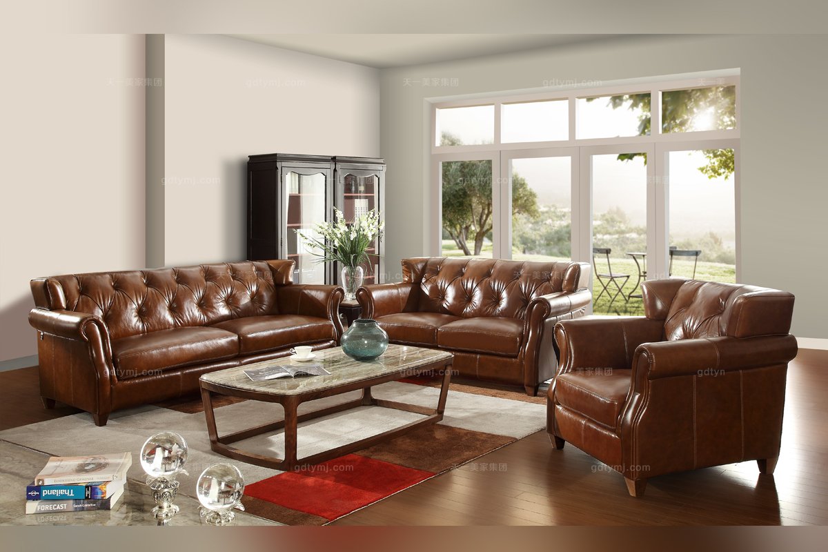 天一美家客廳真皮沙發